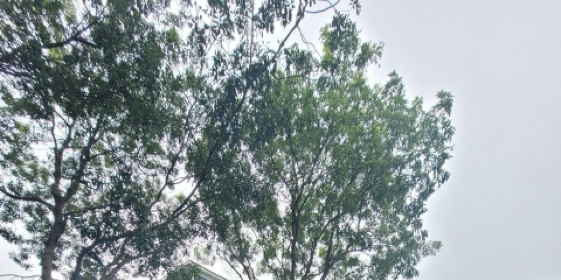 Biệt Thự Phương Viên